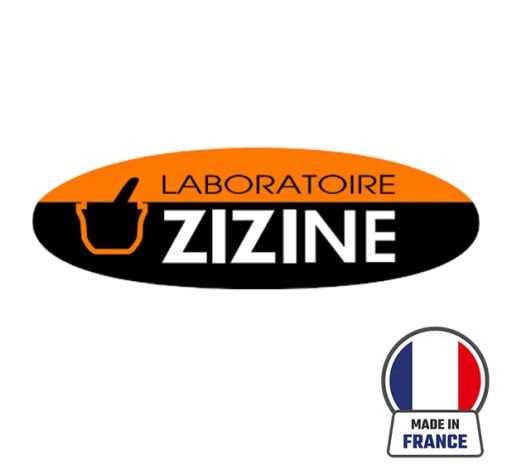 Ato Zizine